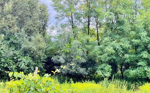 MAĎARSKO - TORNASZENTANDRAS 2 IZBOVÝ DOM - CHALUPA