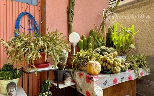 MAĎARSKO - SZENDRŐ ZREKONŠTRUOVANÝ 3 IZBOVÝ RD S PEKNÝM POZEMKOM.