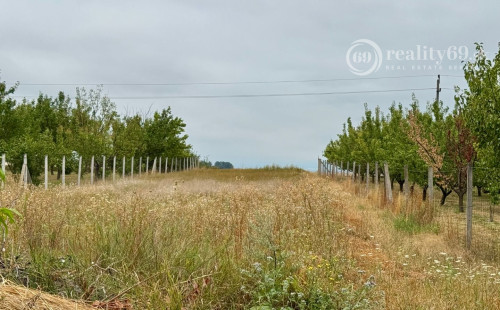 MAĎARSKO - FORRÓ / ENCS - ABÚJDEVECSER  - 3 IZBOVÝ DOM IHNEĎ OBÝVATEĽNÝ