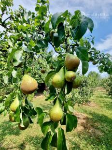 MAĎARSKO - PRI MISKOLCI - 3 IZBOVÁ POSCHODOVÁ CHATA 60 M2, TOP LOKALITA