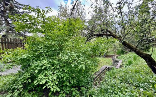 FURČA - STAVEBNÝ POZEMOK 567 M2, PRI OBYTNOM SÚBORE NA HORE.