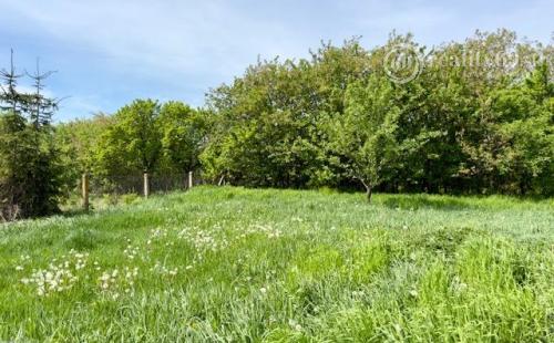 SUPER CENA - MAĎARSKO - MÉRA - 2 IZBOVÝ RODINNÝ DOM PÔVODNÝ STAV.