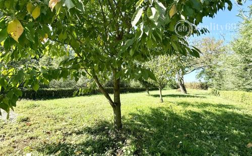MAĎARSKO - MÉRA PEKNÝ GAZDOVSKÝ RD PO REKONŠTRUKCII.