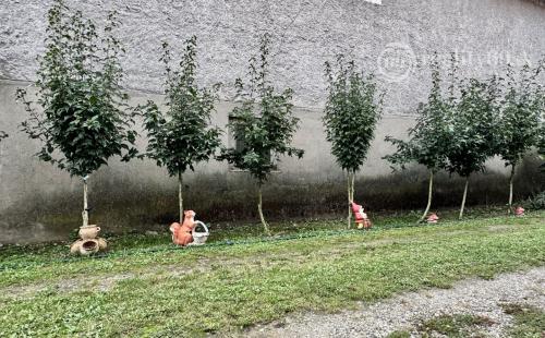 MAĎARSKO - MÁRTONYI - PEKNÝ 4 IZBOVÝ RD V KRÁSNEJ LOKALITE BLÍZKO JAZERA RAKACA.