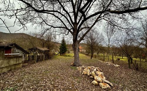 MAĎARSKO - TOP LOKALITA SZOGLIGET PEKNÝ RODINNÝ DOM