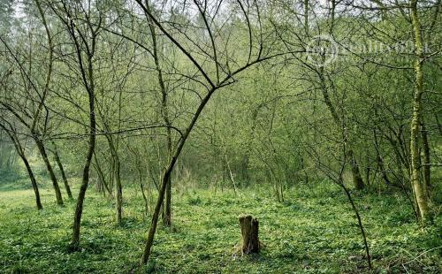 MAĎARSKO - PANYOK PEKNÝ STAVEBNÝ POZEMOK 833 M2