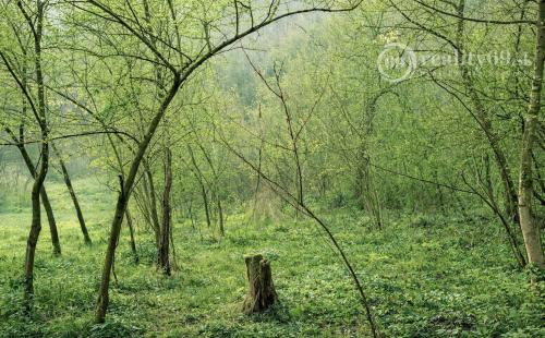 MAĎARSKO - PANYOK PEKNÝ STAVEBNÝ POZEMOK 833 M2