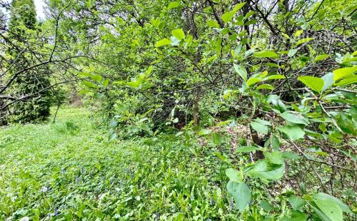 FURČA - STAVEBNÝ POZEMOK 567 M2, PRI OBYTNOM SÚBORE NA HORE.