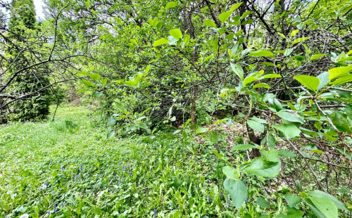 FURČA - STAVEBNÝ POZEMOK 567 M2, PRI OBYTNOM SÚBORE NA HORE.