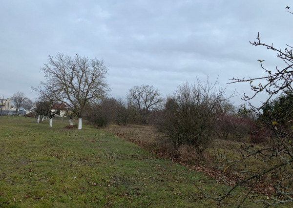 SEČOVCE - ROVINATÝ STAVEBNÝ POZEMOK 1417 PRIAMO V OBCI IS PRI POZEMKU.