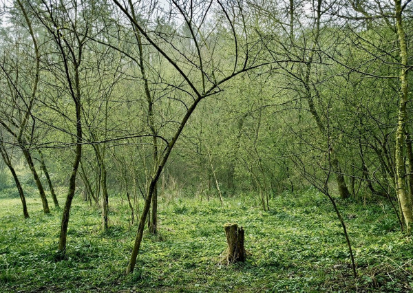 MAĎARSKO - PANYOK PEKNÝ STAVEBNÝ POZEMOK 833 M2