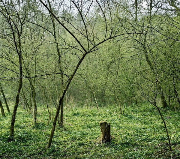 MAĎARSKO - PANYOK PEKNÝ STAVEBNÝ POZEMOK 833 M2