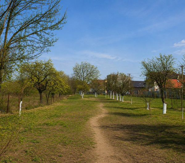 SEČOVCE - ROVINATÝ STAVEBNÝ POZEMOK 1417 PRIAMO V OBCI IS PRI POZEMKU.